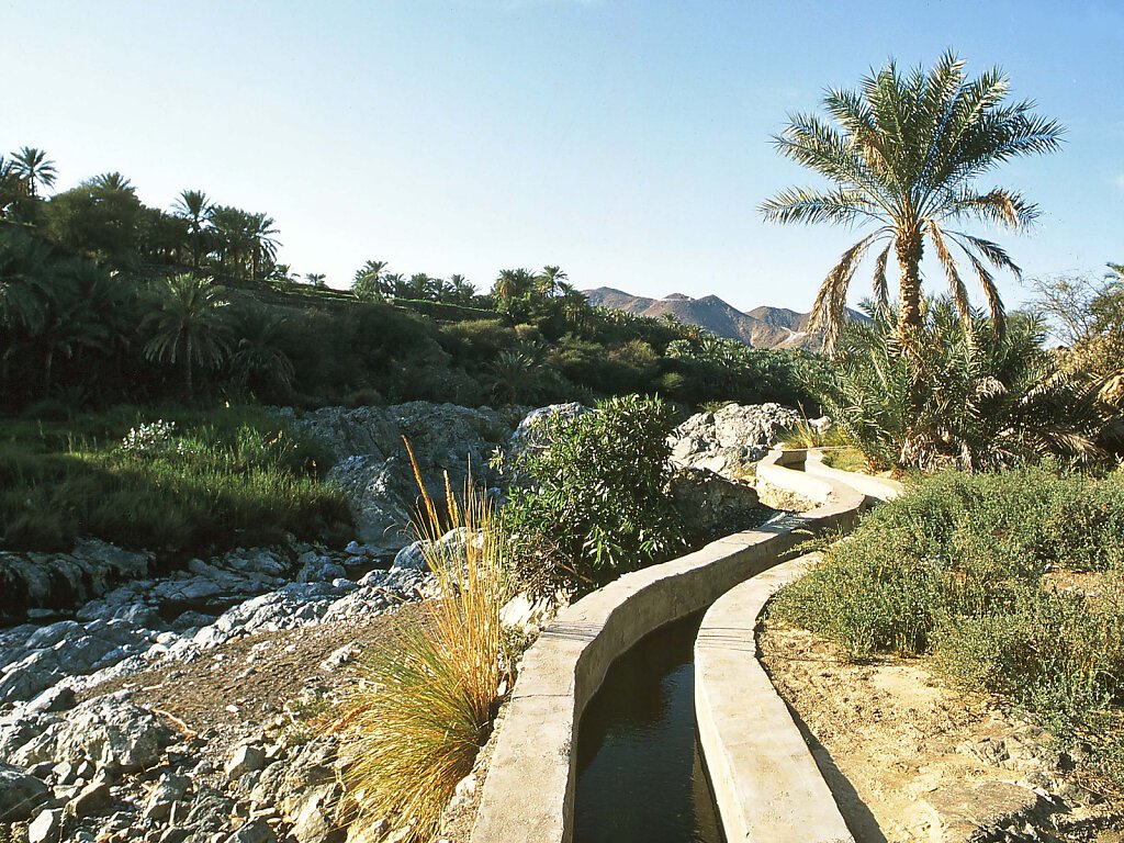 Wadi Al Hawqayn / Wadi Al Hoquain