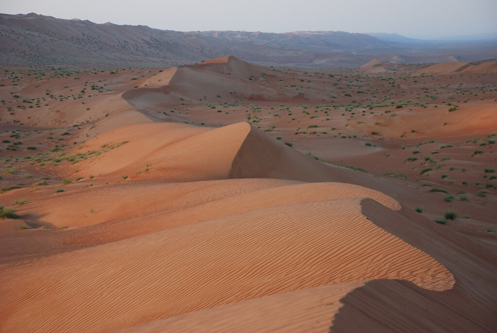 Sandwüsten / Deserts