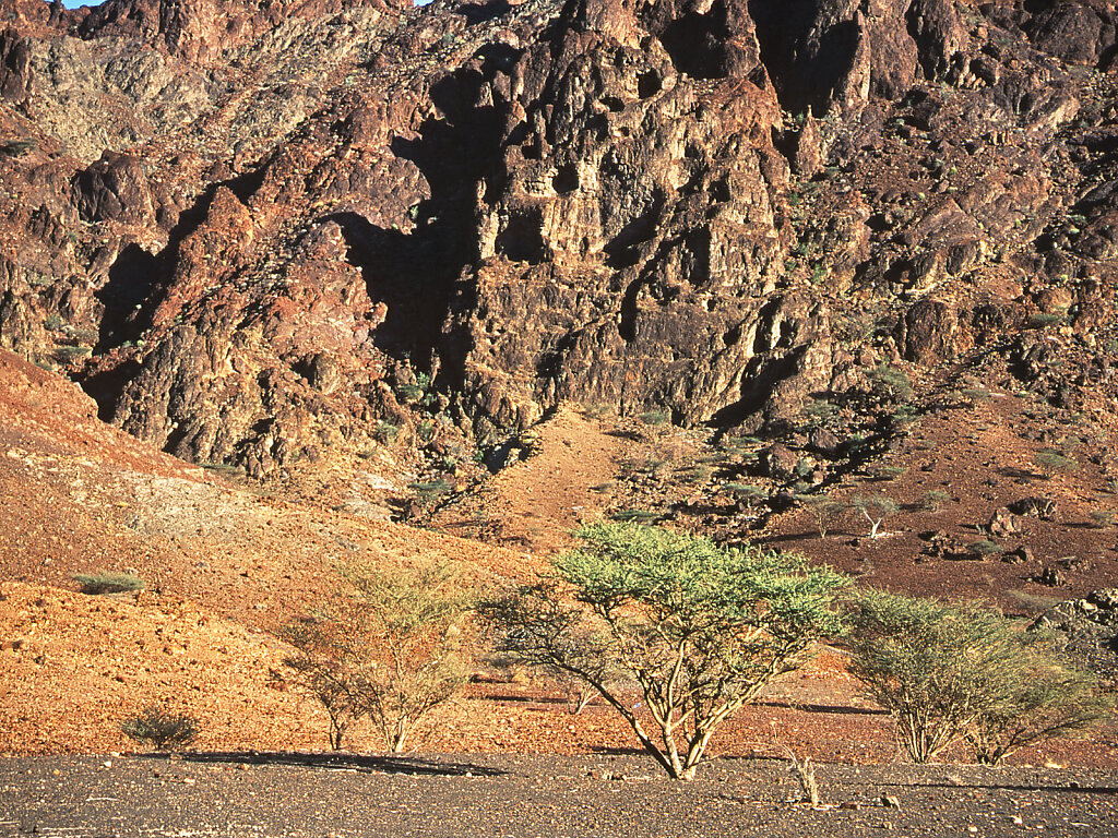 Wadi Al Tayin / Wadi Al Tayeen