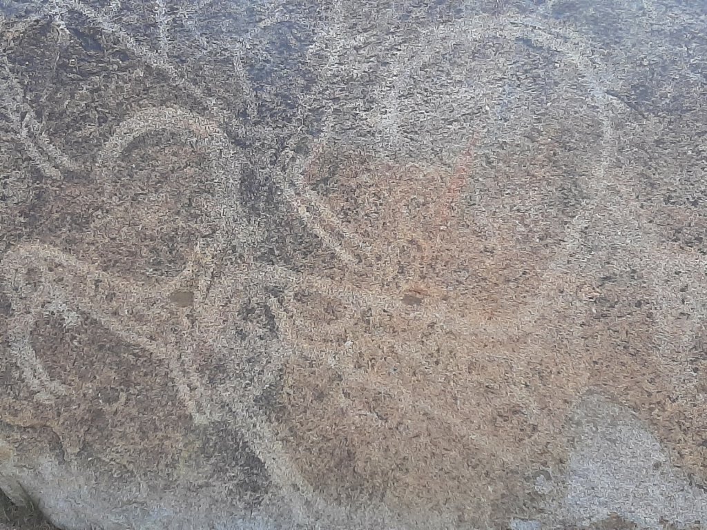 Felszeichnungen / petroglyphs