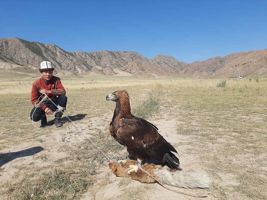 Adler Jagd / Eagle Hunting