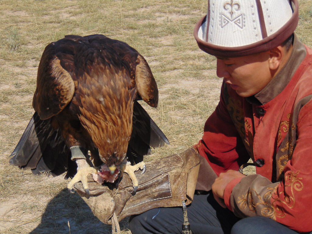 Adler Jagd / Eagle Hunting