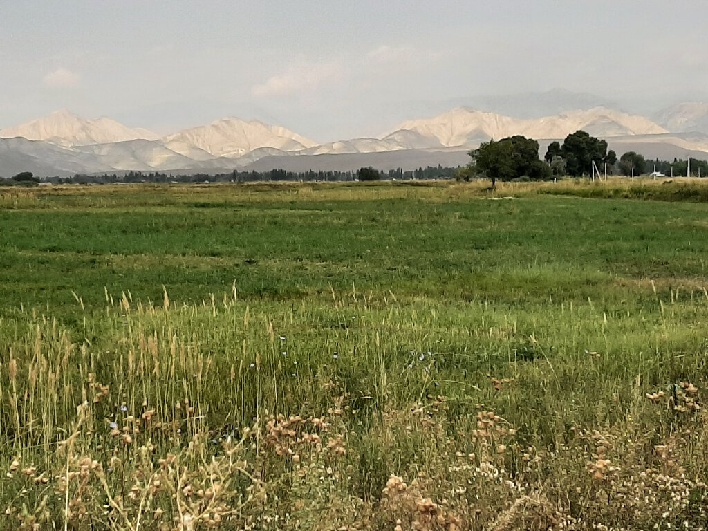 Landschaft bei Naryn