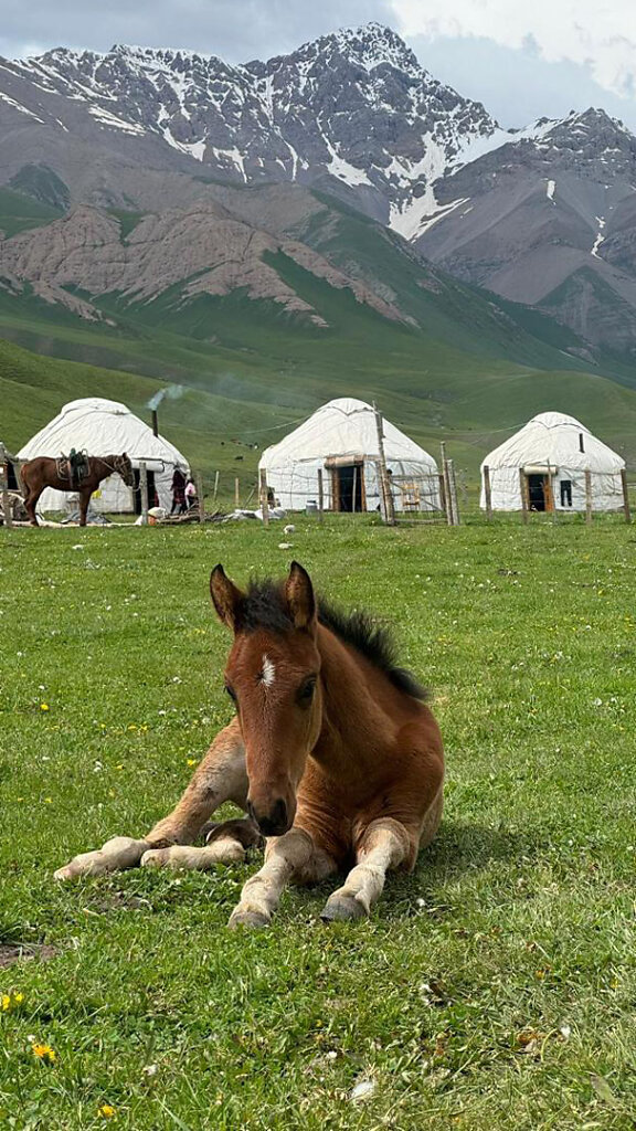 Kamady Tal / Valley