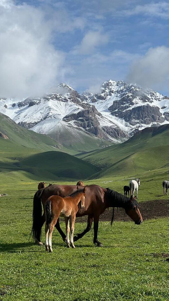 Kamady Tal / Valley